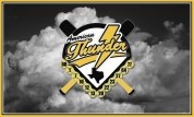 Free team banner with trading pins